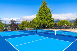 Pickleball Court
