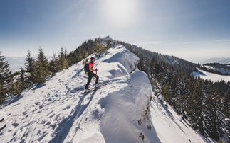Skitourengeherin auf einem sonnigen Gipfelgrat