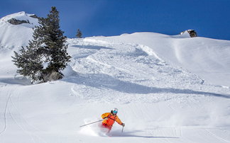 Skifahrer im Powder.