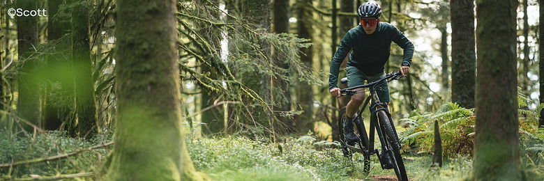 Mountain biker riding through the forest