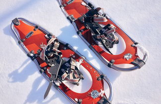 Einstieg Schneeschuhe