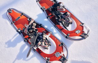 Einstieg Schneeschuhe