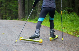 Entry roller skis