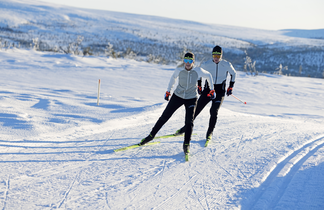 Entry cross-country skis Skate