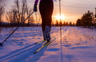 Cross-country cruising skis