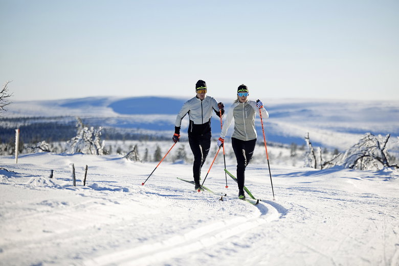 Fischer: the cross-country specialists