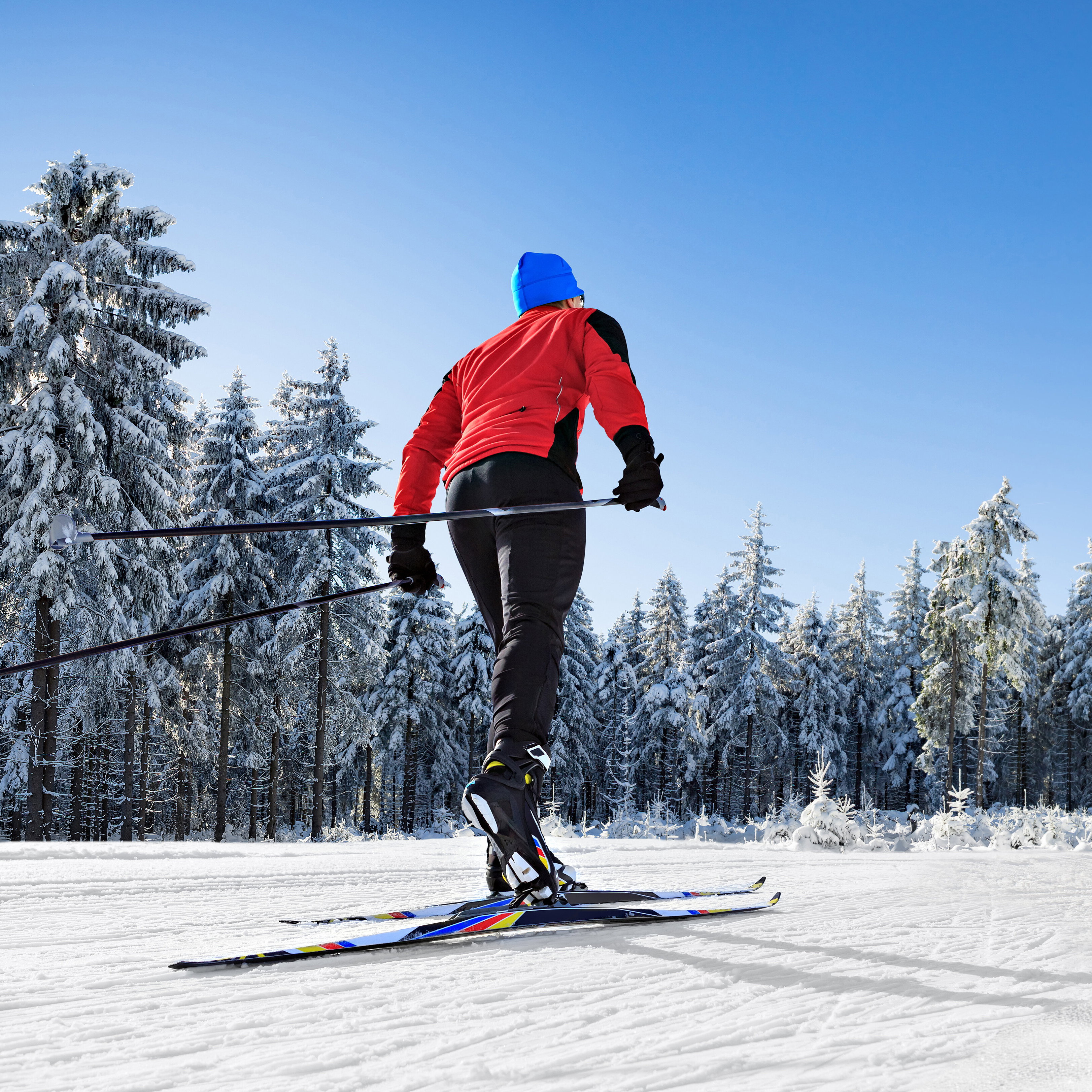 Blog Der große Langlauf Guide