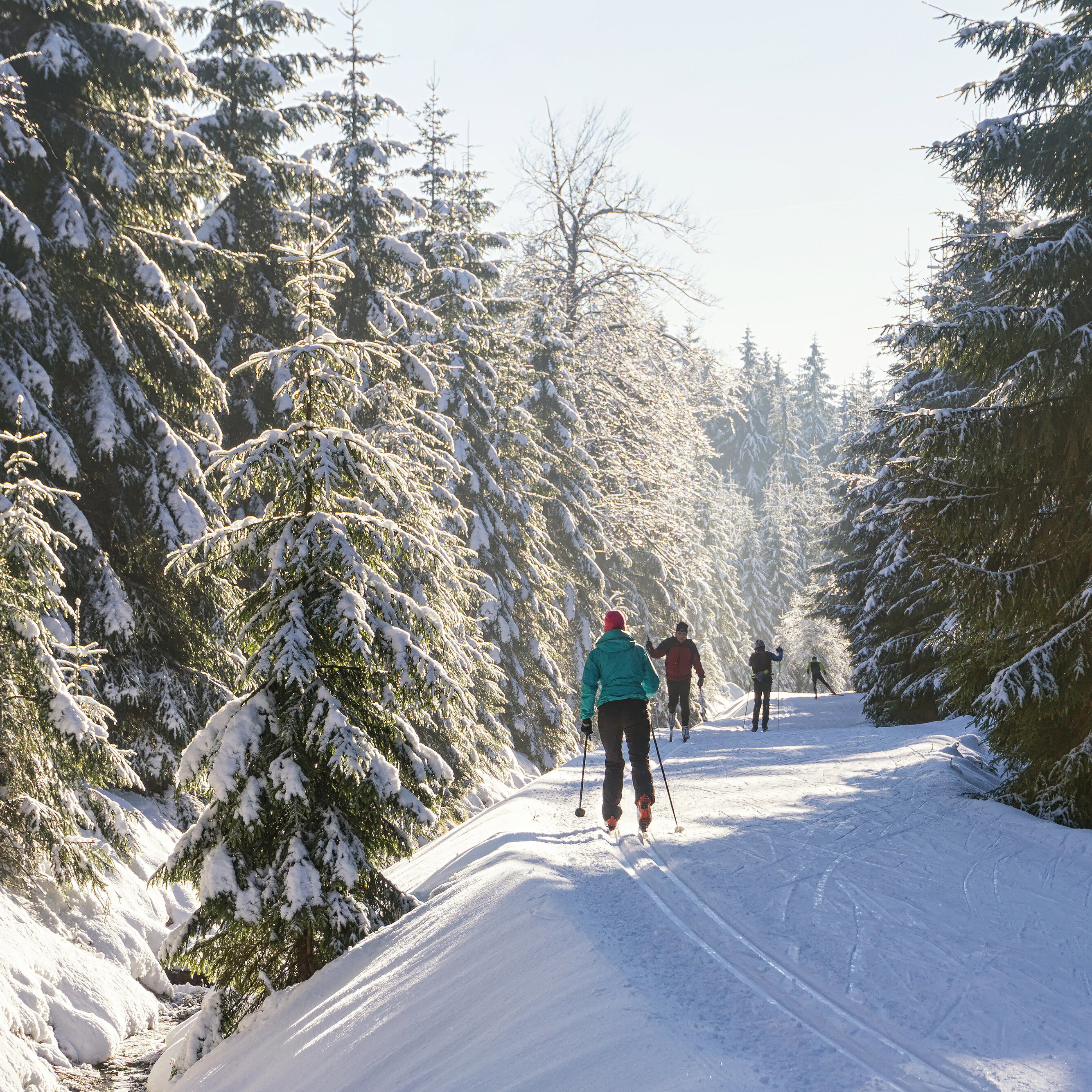 Blog Langlauf Packliste