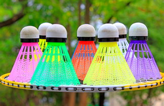 Badminton ball entry