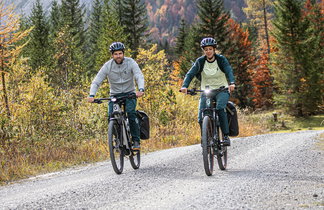 Einstieg-E-Trekkingbikes