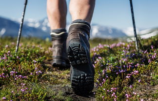 Entry Mountain shoes