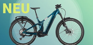 Box E Trekkingbikes