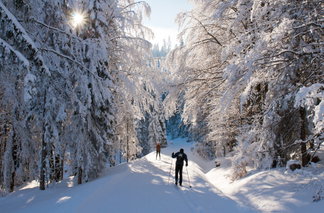Langläufer auf der Loipe in Winterlandschaft