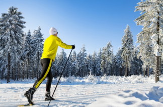 Langläufer:in auf der Loipe im Wald