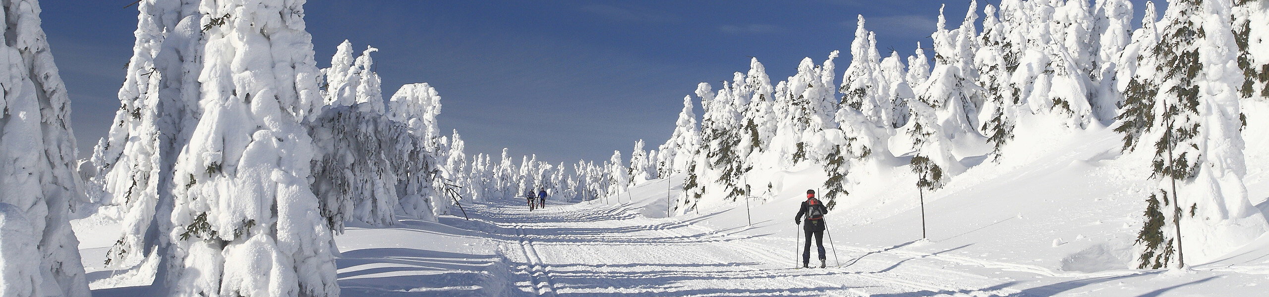 Langläufer auf einer Loipe in einer Winterlandschaft