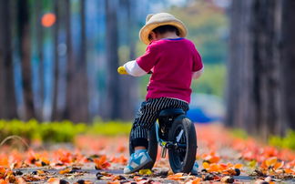 Kleiner Junge von hinten auf Laufrad