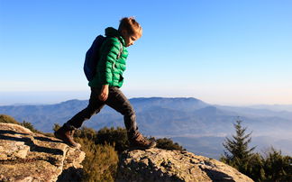 Junge mit grüner Jacke auf Berg