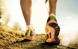 Große Auswahl an neutralen Laufschuhen entdecken
