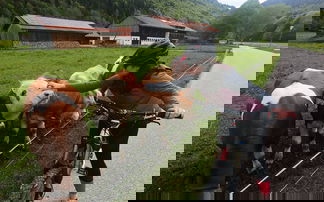 Frau steht mit MTB bei kühen