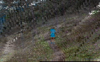 Läufer auf Trail im Wald von hinten