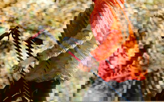 Läufer hält Trailrunningstöcke