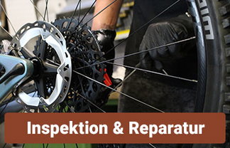 Inspektion & Reparatur