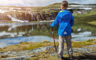 Junge mit blauer Jacke in Landschaft