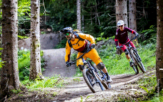 Biker auf Trail im Wald