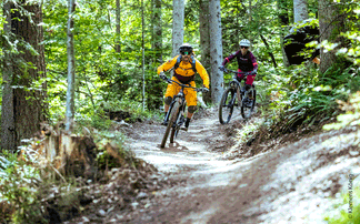 Biker im Wald auf Trail
