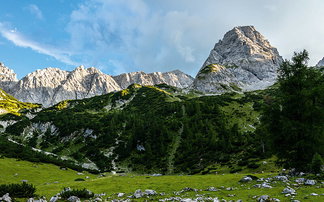 Green meadow with mountains 