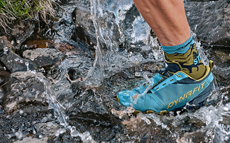 Dynafit shoe image 1