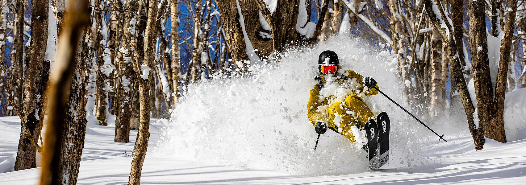 Skifahrer fährt im Pulverschnee zwischen den Bäumen