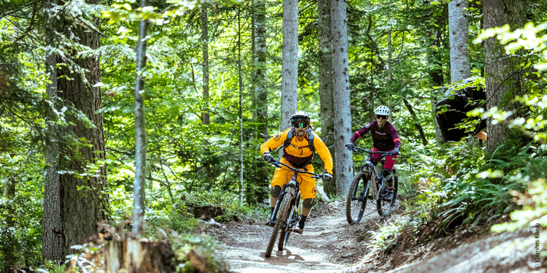 Biker auf Trail im Wald