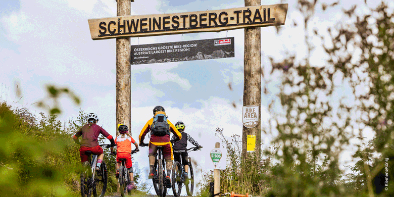 Vier Biker vor dem Eingang eines Trails