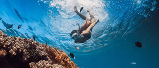 Diving & Snorkeling