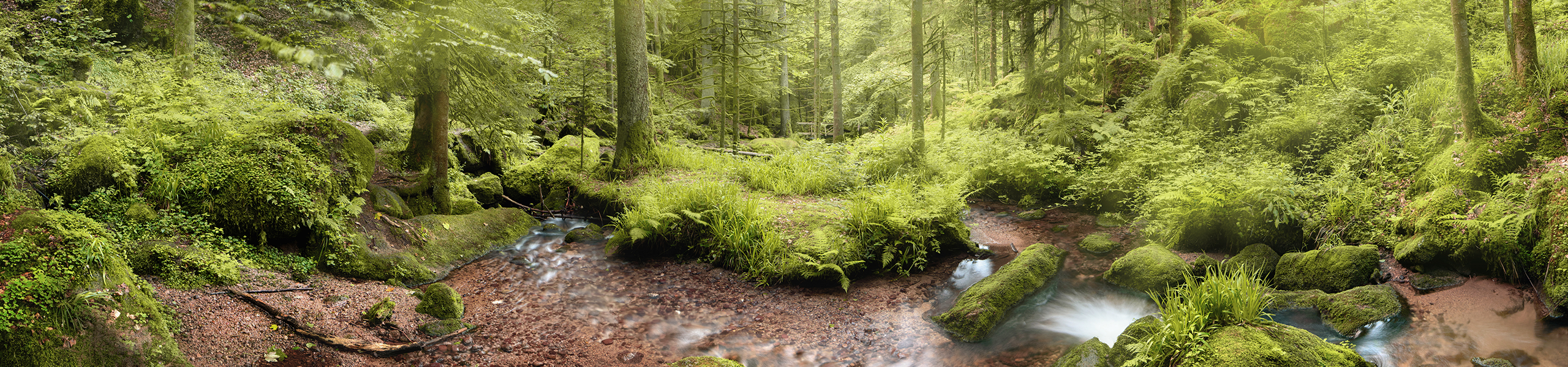 Header Nachhaltigkeit 