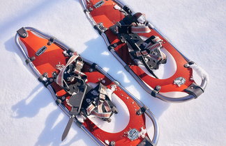 Einstieg Schneeschuhe