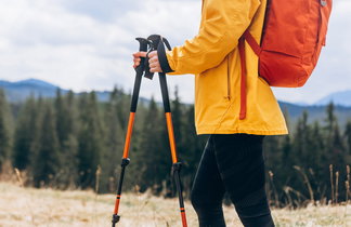 Entry hiking poles