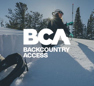 BCA brand image